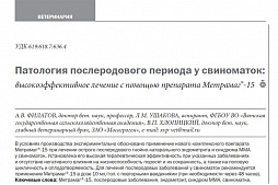 «Патология послеродового периода у свиноматок: высокоэффективное лечение с помощью препарата Метрамаг®-15»